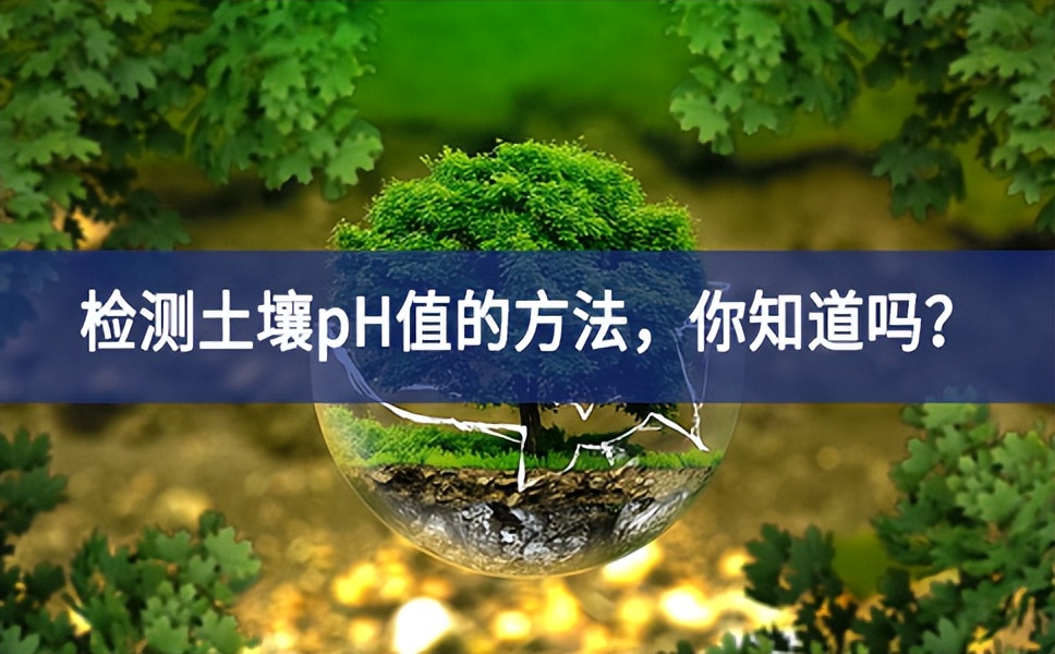 檢測土壤pH值的方法，你知道嗎？