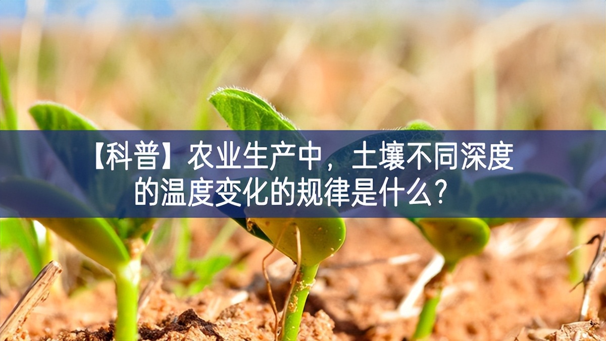 【科普】農(nóng)業(yè)生產(chǎn)中，土壤不同深度的溫度變化的規(guī)律是什么？