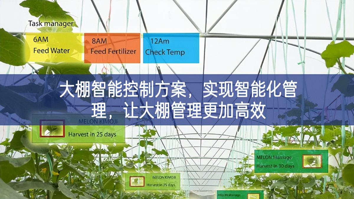 大棚智能控制方案，實(shí)現(xiàn)智能化管理，讓大棚管理更加高效