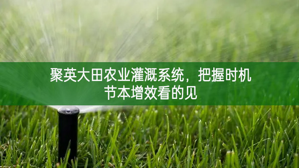 聚英大田農(nóng)業(yè)灌溉系統(tǒng)，把握時(shí)機(jī)節(jié)本增效看的見(jiàn)