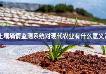 土壤墑情監(jiān)測(cè)系統(tǒng)對(duì)現(xiàn)代農(nóng)業(yè)有什么意義？