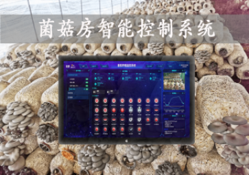 「智慧養(yǎng)殖」菌菇房智能控制系統(tǒng)，智能控溫，助力大棚食用菌種植