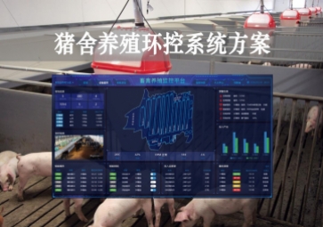 「智慧養(yǎng)殖」豬舍養(yǎng)殖環(huán)控系統(tǒng)方案，獲取環(huán)境參數(shù)，數(shù)字化畜牧業(yè)
