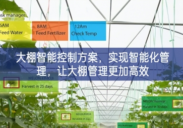「智慧農(nóng)業(yè)」大棚智能控制方案,實現(xiàn)智能化管理，讓大棚管理更加高效 