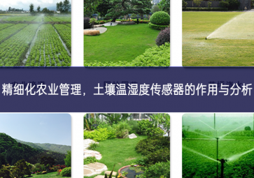 精細(xì)化農(nóng)業(yè)管理，土壤溫濕度傳感器的作用與分析